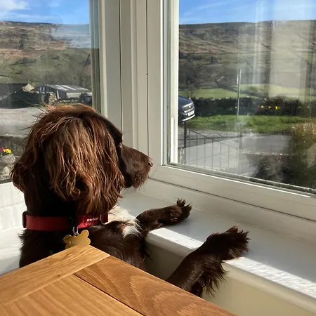 Stony Thwaite 펜션 *